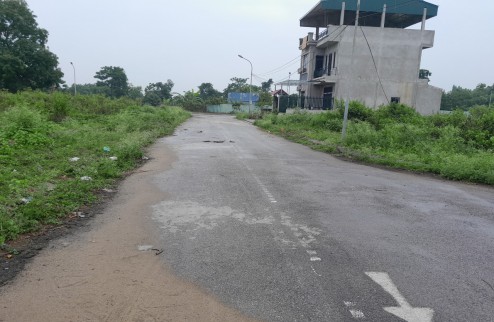 Bán nhà vườn dự án KĐT Chi Đông, lô NV L05 Mê Linh Hà Nội, DT 165m, MT 6m, chỉ 4.x tỷ.